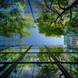 Sustainability in Commercial Construction